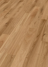 Dąb Cassis Dąb Cassis