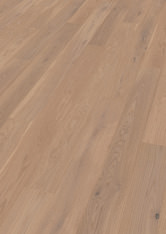 Dąb Beaujolais Dąb Beaujolais