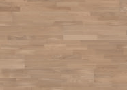 Dąb jasnobeżowy Dąb jasnobeżowy