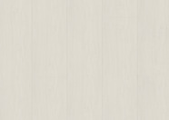 Brzoza szaro-biała Brzoza szaro-biała