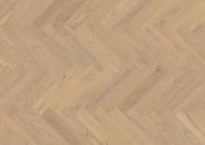 Chêne Avignon Chêne Avignon