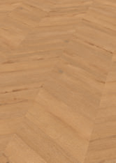 Dąb Hamburg Dąb Hamburg