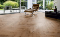 Oak Washington Oak Washington