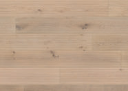 Oak No.18 - Balmoral