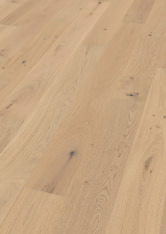 Oak No.25 - Brighton