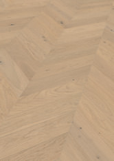 Chêne Het Zand Chêne Het Zand