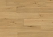 Dąb Marseille Dąb Marseille