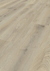 Chêne Hawaii Chêne Hawaii