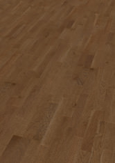 Dąb Burgund Dąb Burgund