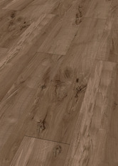 Dąb ciemnobrązowy Dąb ciemnobrązowy