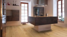 Oak No.33 - Clarence Oak No.33 - Clarence