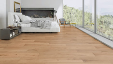 Chêne Banta Chêne Banta