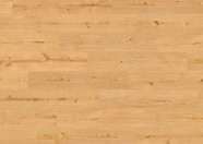 Dąb Libra Dąb Libra