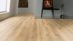 Dąb Miami Dąb Miami