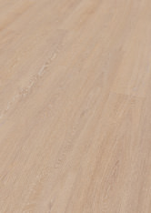 Dąb Berlin Dąb Berlin