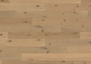 Oak No.31 - Galloway