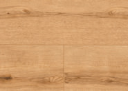 Eiche Kuma Eiche Kuma