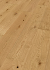 Oak No.33 - Clarence Oak No.33 - Clarence