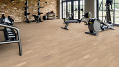 Dąb Champagne Dąb Champagne