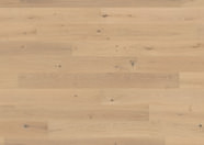 Oak No.25 - Brighton