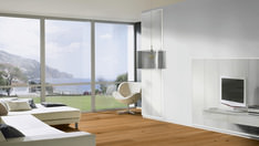 Pinie perlmuttweiß Pinie perlmuttweiß