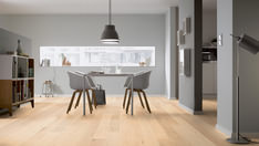 Canadees ahorn Canadees ahorn