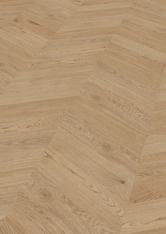 Dąb Dublin Dąb Dublin