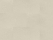 Stein Baku Stein Baku