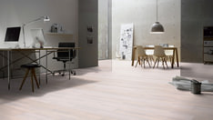 Roble blanco antiguo