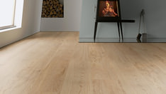 Dąb Dublin Dąb Dublin