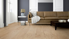 Dąb Dublin Dąb Dublin