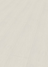 Brzoza szaro-biała Brzoza szaro-biała