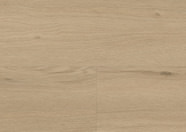 Dąb Amsterdam Dąb Amsterdam