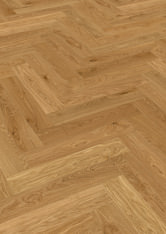 Chêne Zurenborg Chêne Zurenborg