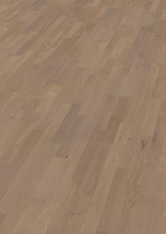 Dąb Bacchus Dąb Bacchus