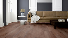 Nogal Abu Dhabi Nogal Abu Dhabi