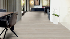 Dąb Stockholm Dąb Stockholm