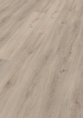 Dąb Brügge Dąb Brügge