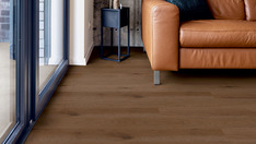 Dąb Bordeaux Dąb Bordeaux