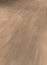 Dąb jasnobeżowy Dąb jasnobeżowy