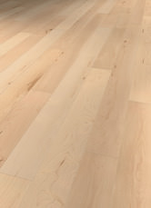 Canadees ahorn Canadees ahorn