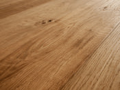 Oak No.11 - Salisbury