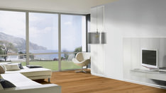 Pinie perlmuttweiß Pinie perlmuttweiß