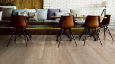 Chêne Candy Shop Chêne Candy Shop