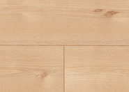 Châtaignier Rana Châtaignier Rana