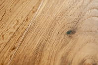 Oak No.13 - Mortimer