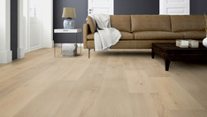 Dąb Amsterdam Dąb Amsterdam