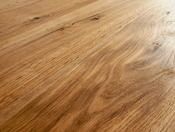 Oak No.13 - Mortimer