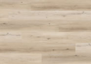 Dąb Tokyo Dąb Tokyo