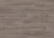 Dąb Negros Dąb Negros